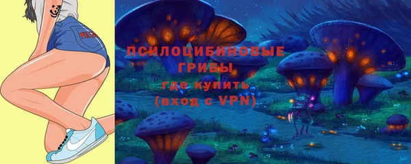 дурь Семилуки